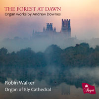ANDREW DOWNES - The Forest at Dawn