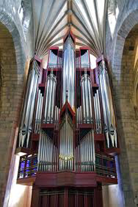 Rieger Organ