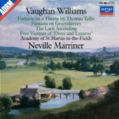 VAUGHAN WILLIAMS - Fantasias - The Lark Ascending